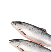 Морепродукты