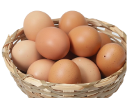 Яйца