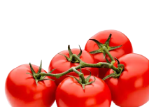 Овощи и фрукты